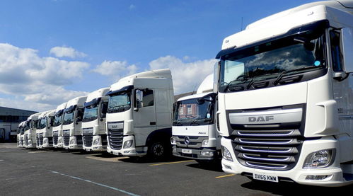 2018年國(guó)際貨物運(yùn)輸代理合同范本