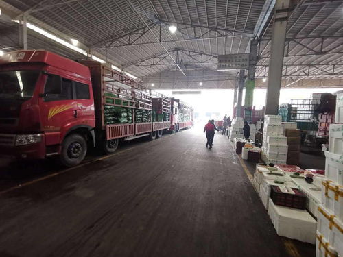 北京市農產品運入量分析 蔬果大幅增長，水產品波動穩(wěn)定